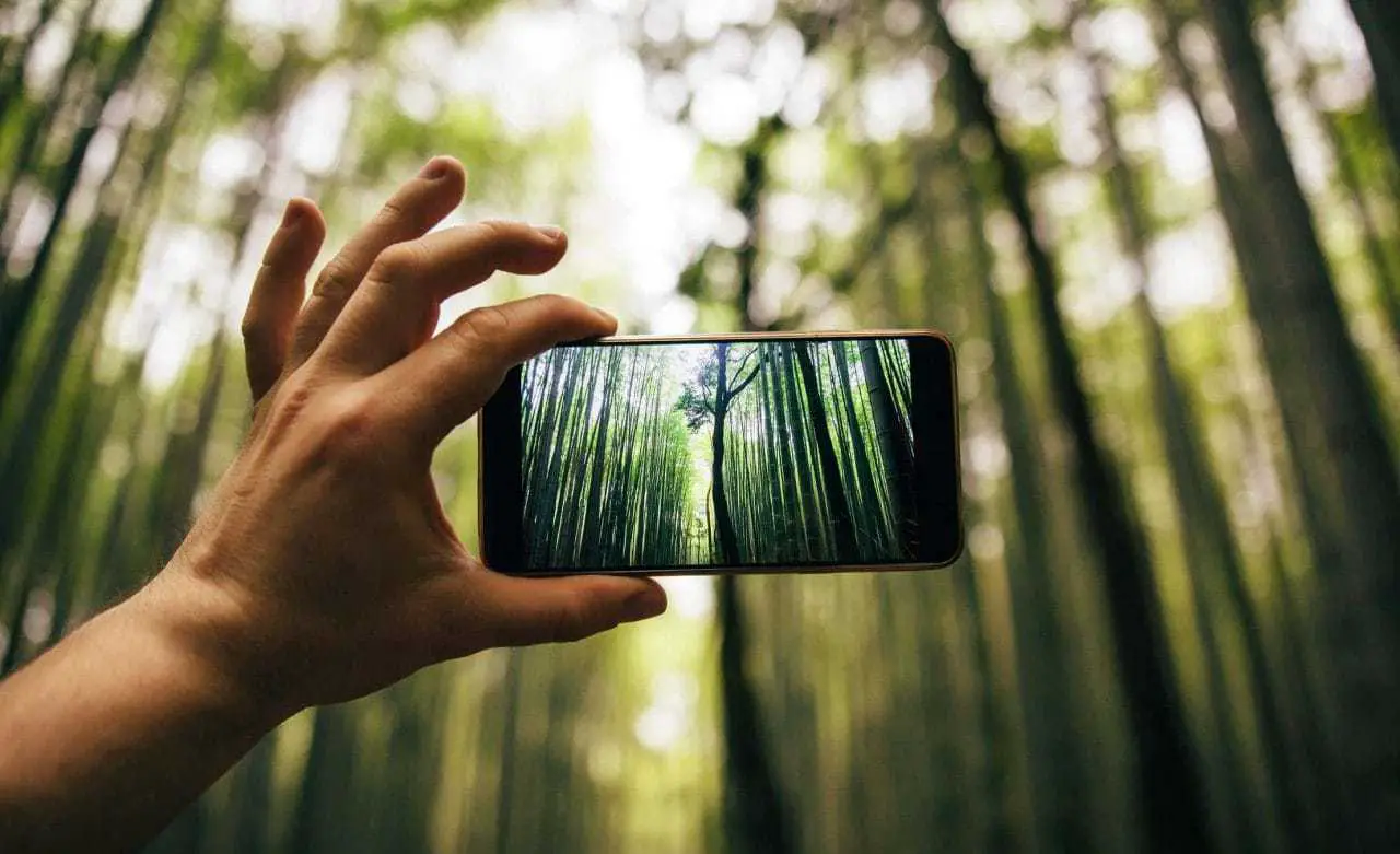 Essential Photography Equipment for Smartphones